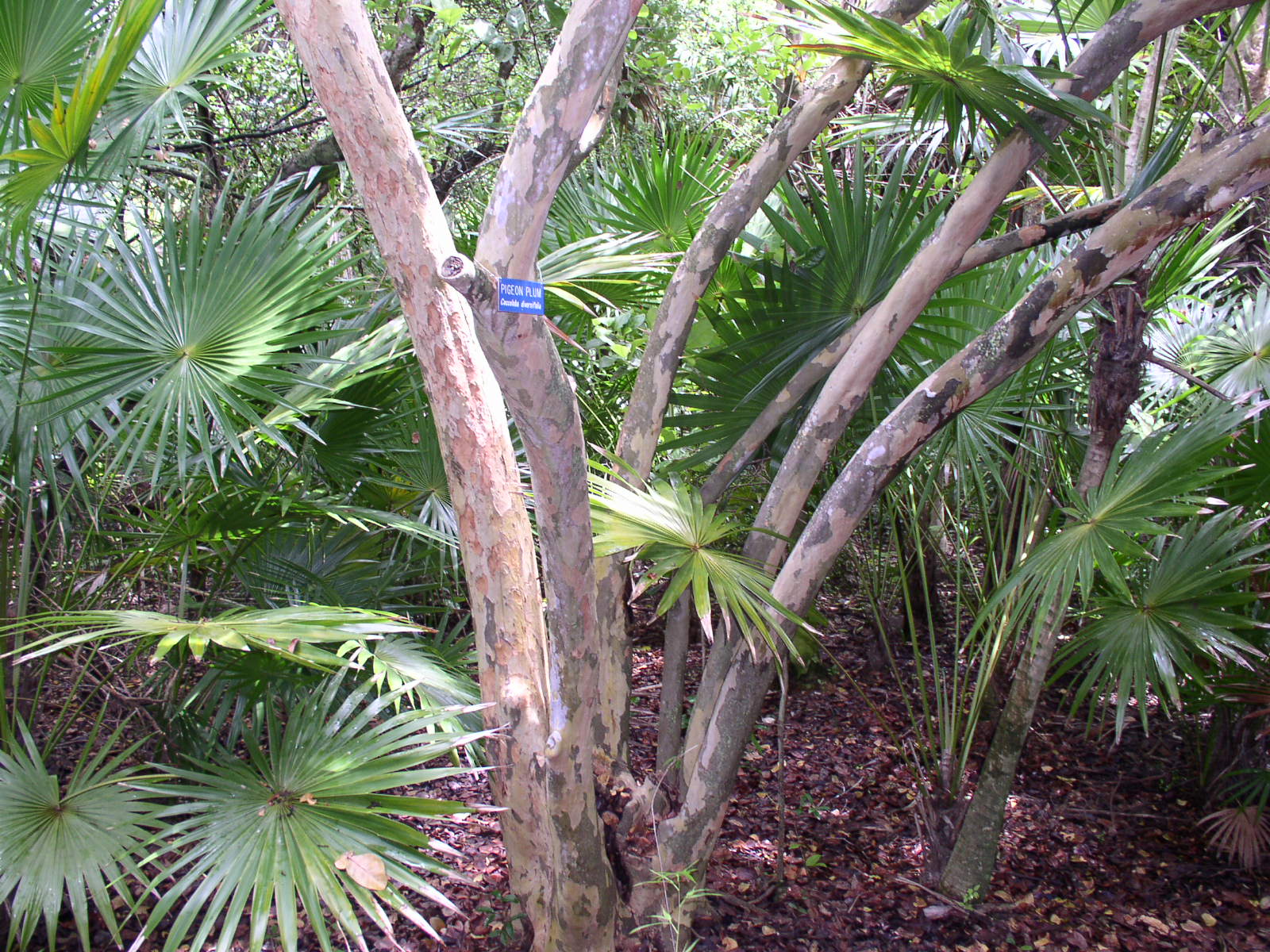 photo1